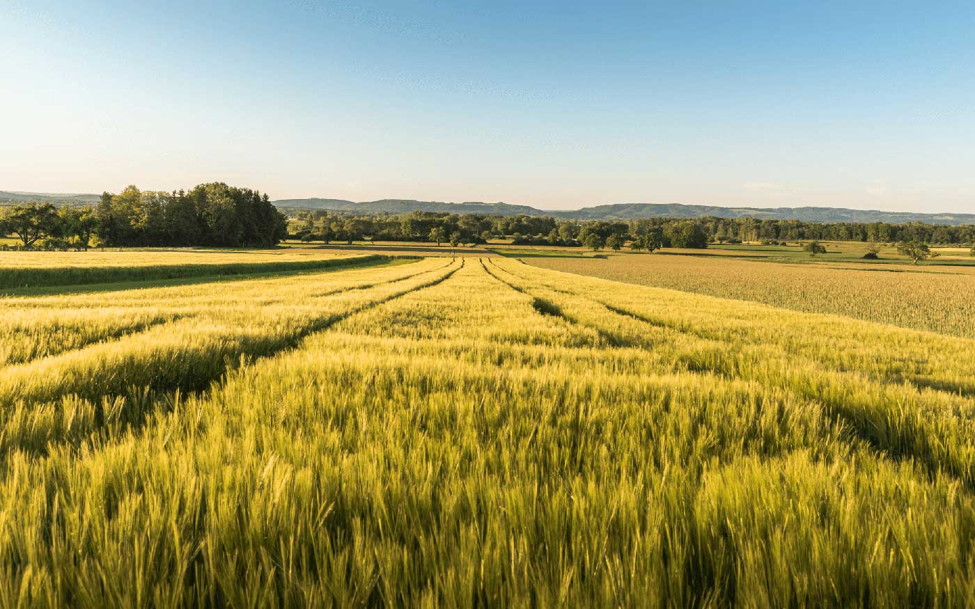 VGH Landschaften